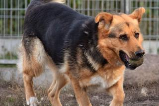 Ofelia na dom czeka w COZ