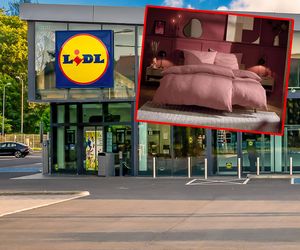 Lidl wyprzedaje jesienne hity