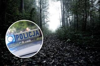 Poznań. Policjanci wywieźli pijanego 36-latka do lasu. Mężczyzna zmarł. Będzie ponowny proces!