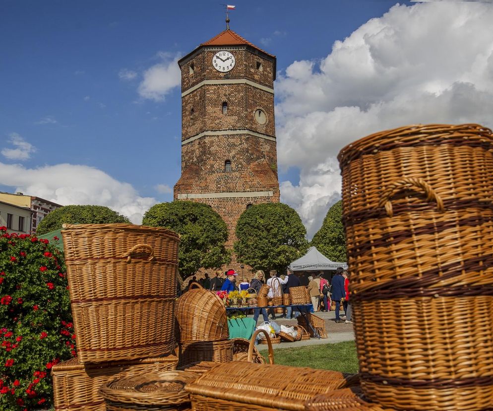 Jesienne skarby natury. Zapomniane i magiczne zakątki kujawsko-pomorskiego do odkrycia [GALERIA]