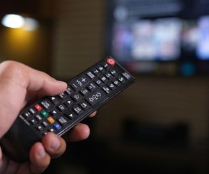 Jesienna ramówka 2025 - najważniejsze programy w TVN, Polsacie i TVP. Co warto obejrzeć?