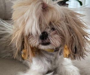 Nagły zwrot akcji u Barona i Kubickiej. Spędził u niej noc?!