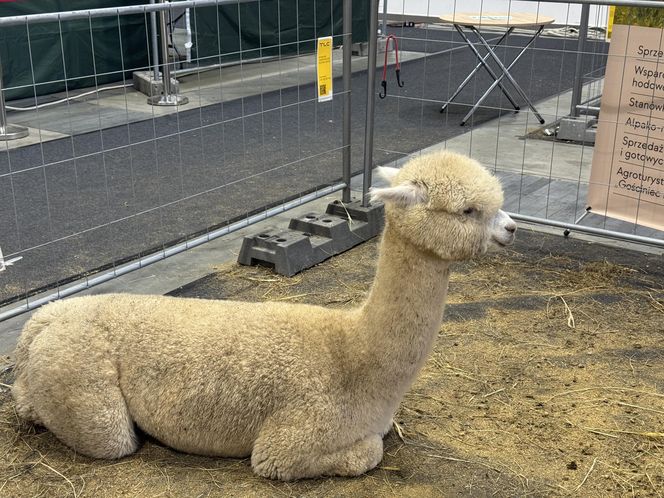 ZooPark w Lublinie. Dzień drugi