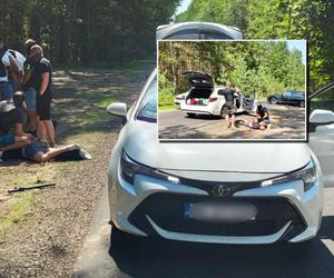 Pod osłoną nocy kradli gotówkę i biżuterię. Wpadli na leśnej drodze!