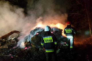 Straszny pożar w Łomnicy-Zdroju. Zginęły zwierzęta [ZDJĘCIA]