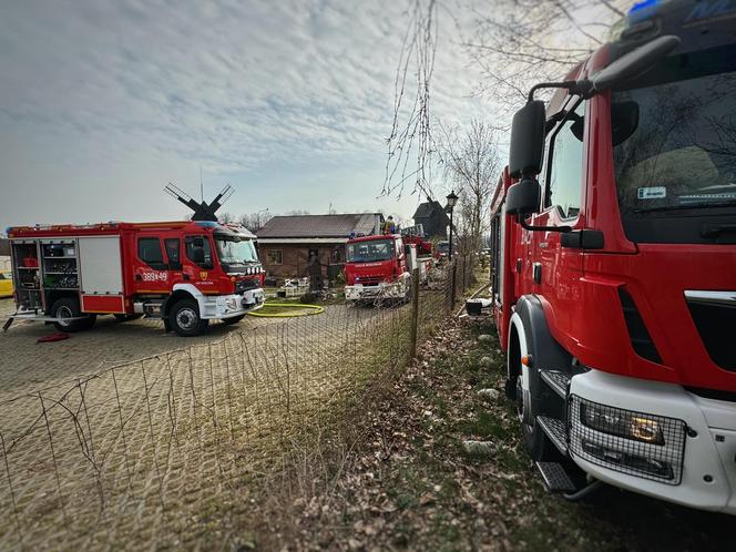 Ruszyła zbiórka na odbudowę budynku Muzeum Młynarstwa i Rolnictwa w Osiecznej. Zniszczył go ogień