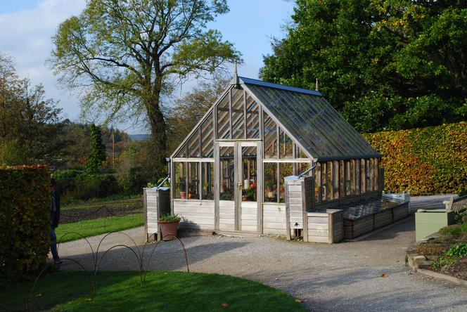 Warzywnik Katarzyna Bellingham