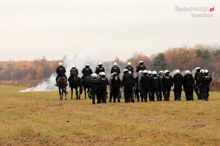 Konie służbowe śląskiej policji przeszły szkolenie. Musiały wytrzymać odgłosy wystrzałów czy ujadanie psów