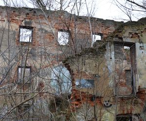 Spacer doliną Bystrzycy na lubelskim Wrotkowie