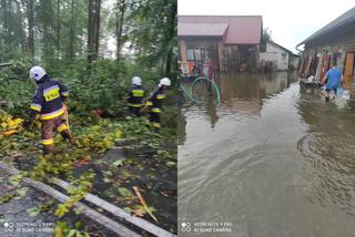 Strażacy usuwają skutki niedzielnych nawałnic, które przeszły nad Podkarpaciem [GALERIA] 