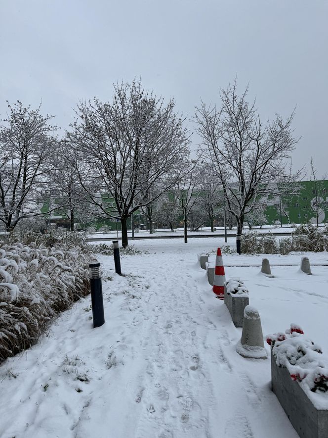 Śnieżny armagedon w Warszawie. Pierwszy atak zimy sparaliżował stolicę. Ogłoszono akcję ALFA