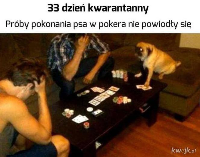 Memy o kwarantannie