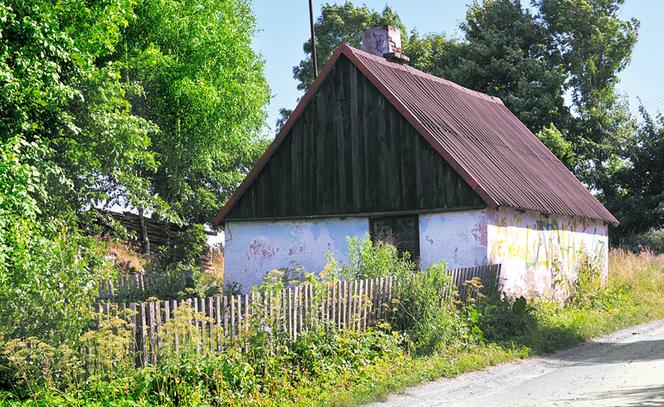 Zabójstwo z biedy?