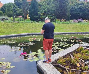 To jeden z najpiękniejszych ogrodów botanicznych w Polsce. Znajduje się na Dolnym Śląsku 