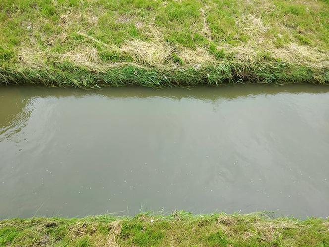 Sytuacja hydrologiczna w Tarnowie. Czy grozi nam powódź?