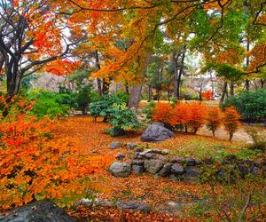 Polska złota jesień w parkach i ogrodach