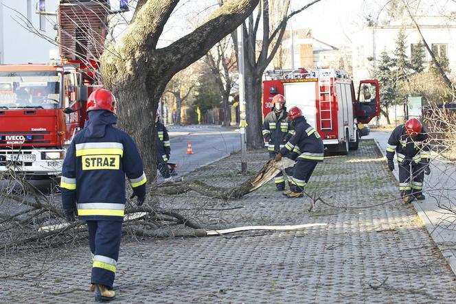 wichury, wiatr, połamane drzewa, straż pożarna