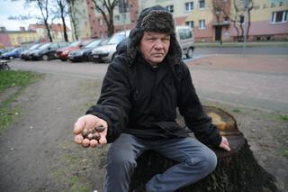 Zrobiony w żołądź