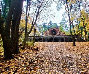 Porządkowanie terenu wokół wieży Quistorpa