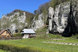 Przyrodnicze azyle: Ojcowski Park Narodowy