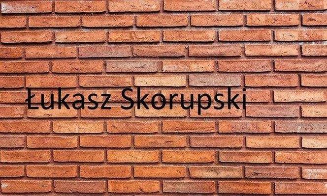 Memy po meczu Polska-Holandia