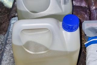 Przemyt narkotyków z Niderlandów 