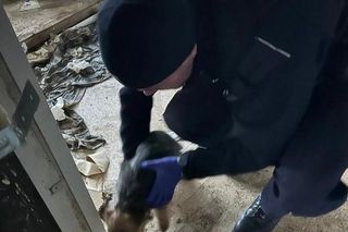 Matka zabarykadowała się w pustostanie z maleńkim dzieckiem