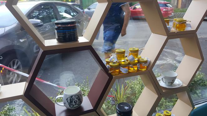 Charity Shop, czyli sklep charytatywny w Sosnowcu