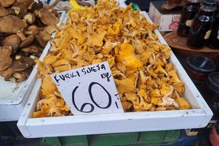 Ceny grzybów na Nowym i Starym Kleparzu w Krakowie