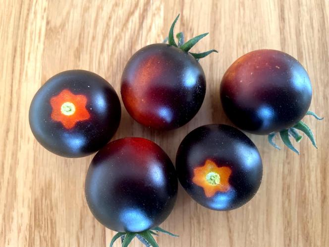 Czarne pomidory koktajlowe black cherry