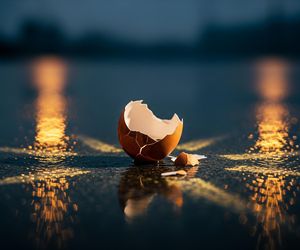 Halloween w Lesznie. Ile naprawdę kosztuje psikus z jajkiem?