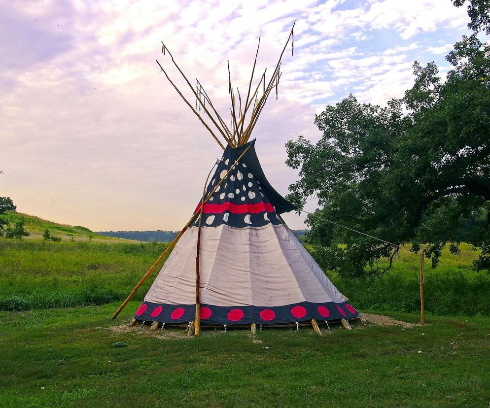 Tipi