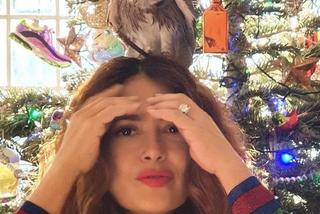 Salma Hayek hoduje SOWĘ! 