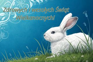 Fajne kartki wielkanocne 2025 do pobrania za darmo! Gotowe obrazki z życzeniami