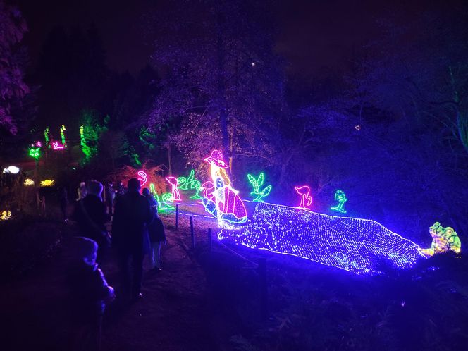 Park iluminacji w Lublinie