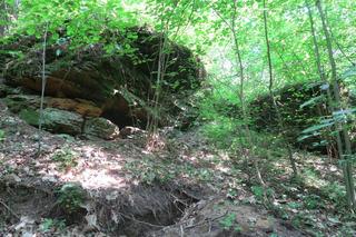 Rezerwat Skały w Krynkach