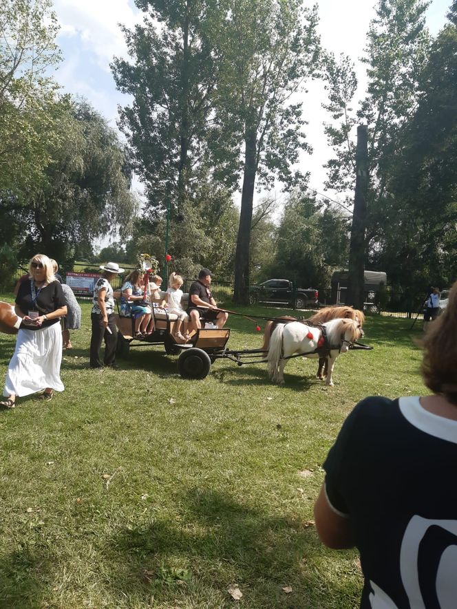 III Parada Karet w Krzyżanowicach Dolnych