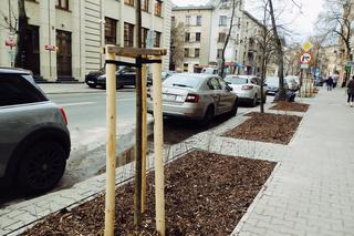 Nowe nasadzenia w Lublinie