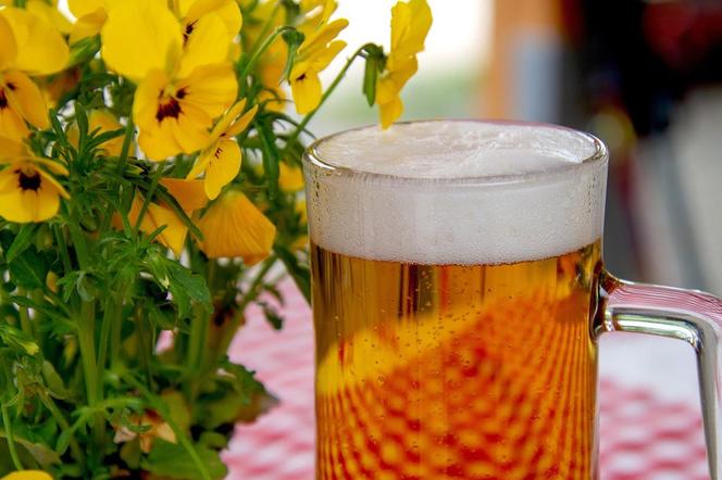 Tak drożeje piwo. Piwo w Polsce i na świecie dwa razy droższe niż przed rokiem