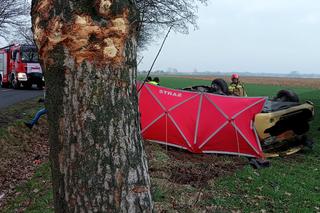 Śmiertelny wypadek pod Wschową! 49-latka nie miała szans po uderzeniu w drzewo i dachowaniu [ZDJĘCIA].