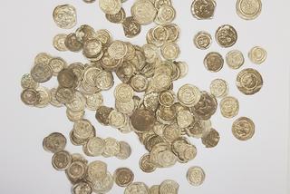 Pierwsze takie znalezisko od ponad 100 lat. Na trop średniowiecznych monet wpadł… pies Kajtuś 