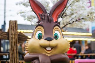 Jarmark wielkanocny w Katowicach 2024 ma twarz Kuby Błaszczykowskiego