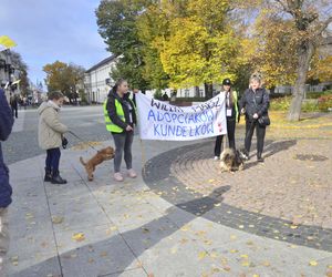 Wielki marsz adopciaków w Radomiu