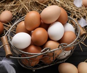 Które jajka lepsze: białe czy brązowe? Sprawdź, zanim kupisz