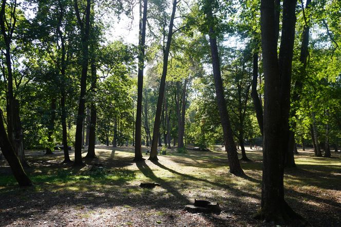 Park Konstytucji 3 Maja