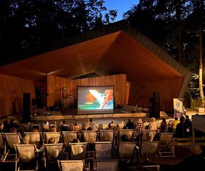 Kino na leżakach w Parku (Starachowice)