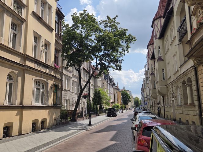 Tak wygląda jedna z najbardziej eleganckich ulic w Bydgoszczy. Zapraszamy na spacer po ul. Cieszkowskiego