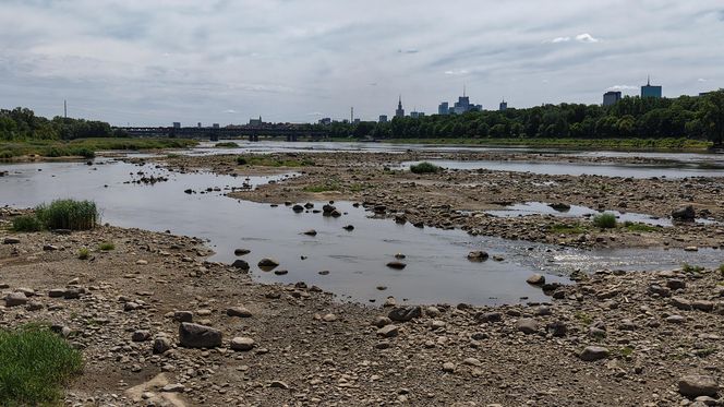 Warszawa. Rekordowy stan wody w Wiśle