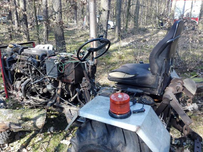 Dramatyczne chwile koło Torunia. Mężczyznę przygniotło drzewo