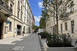 Zieleń w centrum miasta. Tak zmienia się ul. Krupnicza w Krakowie! 